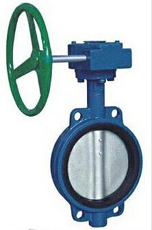 中線蝸輪對夾軟密蝶閥