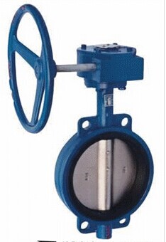 蝸輪對夾式蝶閥